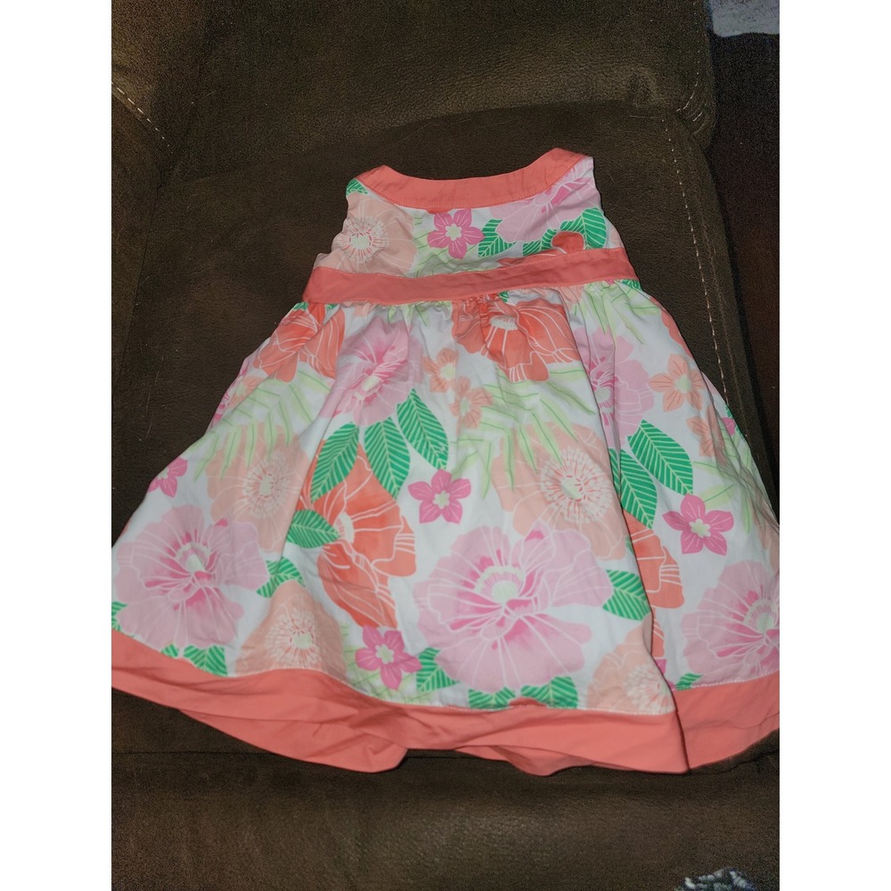 Gymboree fairy blossom floral dress size 12 18 months nwot‎